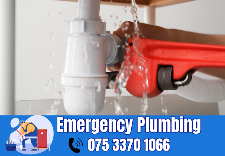  plumber Higham