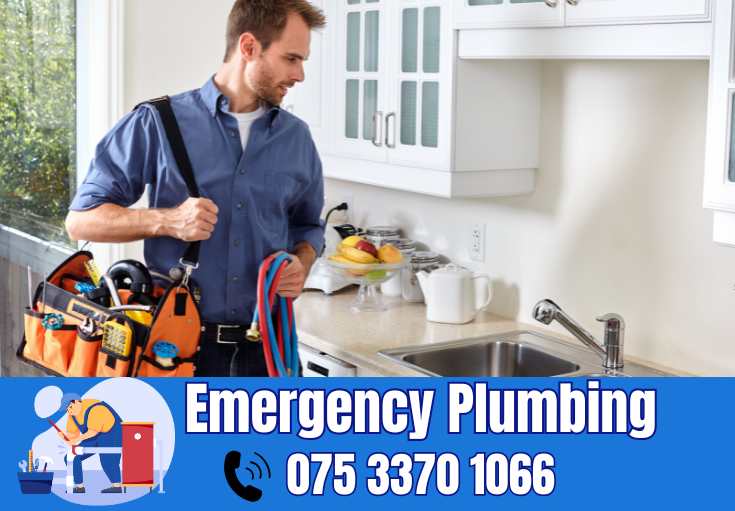  plumber Luddesdown